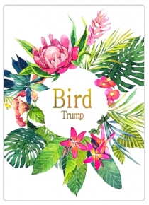  Ʈ BirdTrump
