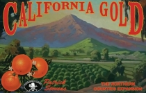  ĶϾ : Ϻ  Ȯ California Gold: The Northern Counties Expansion