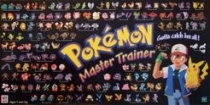  ϸ  Ʈ̳ Pokemon Master Trainer