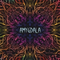  ƹ̱״޶ Amygdala