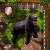  ٷη:  Zooloretto: The Gorilla