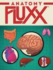  Ƴ ÷ Anatomy Fluxx